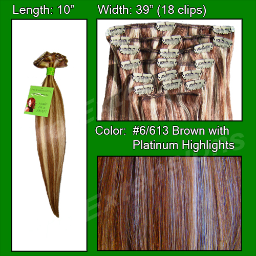Picture of Brybelly Holdings PRST-10-6613 No. 6-613 Chestnut Brown with Platinum Highlights - 10 inch