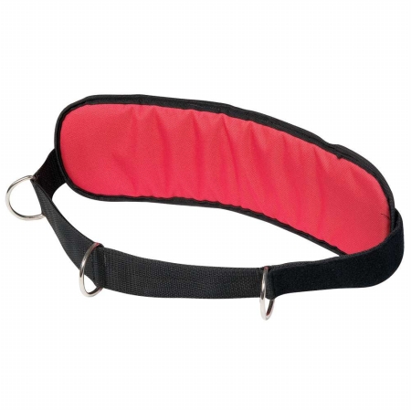 Picture of Power Systems 10198 Predator Weight Belt - Red/Black