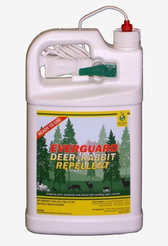 Picture of American Deer Proofing Inc. ADPR128 Everguard Deer & Rabbit Repellent-1gal. Ready-to-Use