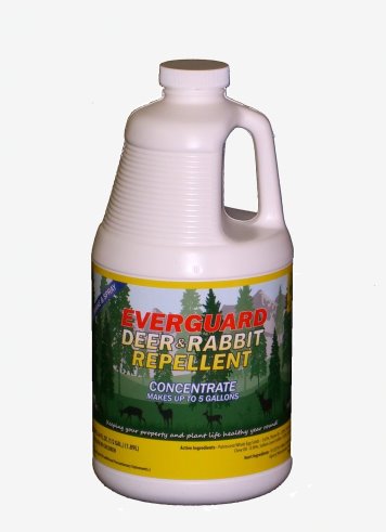 Picture of American Deer Proofing Inc. ADPC064 Everguard Deer & Rabbit Repellent-.5 gal. Concentrate