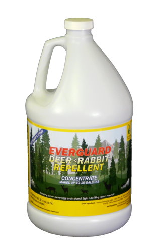 Picture of American Deer Proofing Inc. ADPC128 Everguard Deer & Rabbit Repellent-1gal. Concentrate