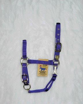 Picture of Hamilton Halter Company - Adjustable Chin Halter With Snap- Purple Average - 1DAS AVPU
