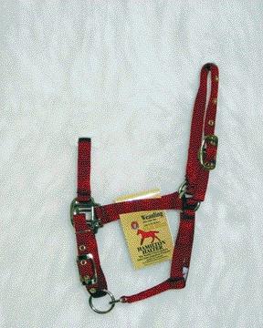 Picture of Hamilton Halter Company - Adjustable Chin Halter- Red Foal - 3DA FLRD