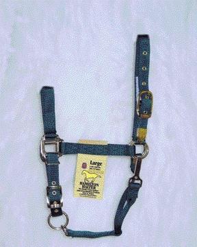 Picture of Hamilton Halter Company - Adjustable Chin Halter With Snap- Hunter Green Large - 1DAS LGDG