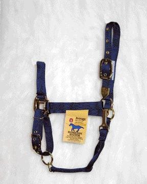 Picture of Hamilton Halter Company - Adjustable Chin Halter With Snap- Navy Average - 1DAS AVNV