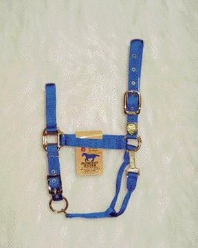Picture of Hamilton Halter Company - Adjustable Chin Halter With Snap- Blue Average - 1DAS AVBL