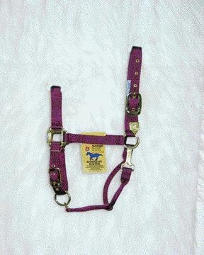 Picture of Hamilton Halter Company - Adjustable Chin Halter With Snap- Wine Average - 1DAS AVWN