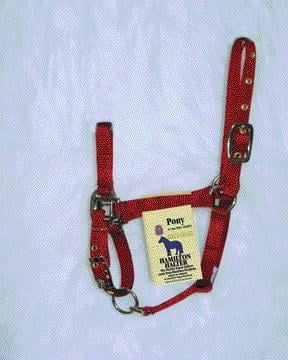 Picture of Hamilton Halter Company - Adjustable Chin Halter With Snap- Red Pony - 3DAS PORD