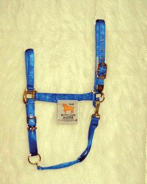Picture of Hamilton Halter Company - Adjustable Chin Halter With Snap- Blue Xl - 1DAS DRBL