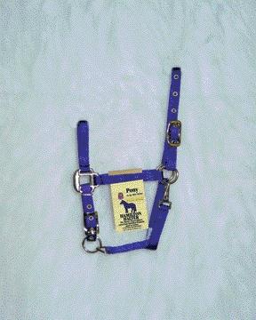 Picture of Hamilton Halter Company - Adjustable Chin Halter With Snap- Purple Pony - 3DAS POPU