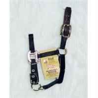 Picture of Hamilton Halter Company - Adjustable Halter With Leather Headpole- Black Foal - 3DLA FLBK