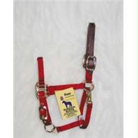 Picture of Hamilton Halter Company - Adjustable Halter With Leather Headpole- Red Pony - 3DLAS PORD