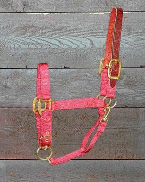Picture of Hamilton Halter Company - Adjustable Halter With Leather Headpole- Red Average - 1DALSS AVRD