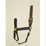 Picture of Hamilton Halter Company - Adjustable Halter With Leather Headpole- Black Small - 1DALSS SMBK