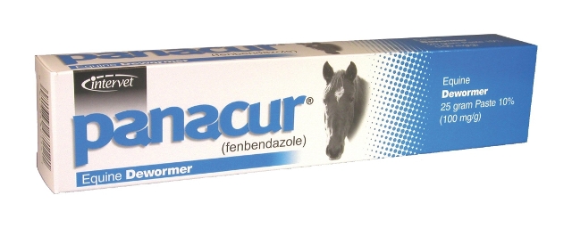 Picture of Merck Animl Health Equine - Panacur Paste 25 Gram - 001-069273