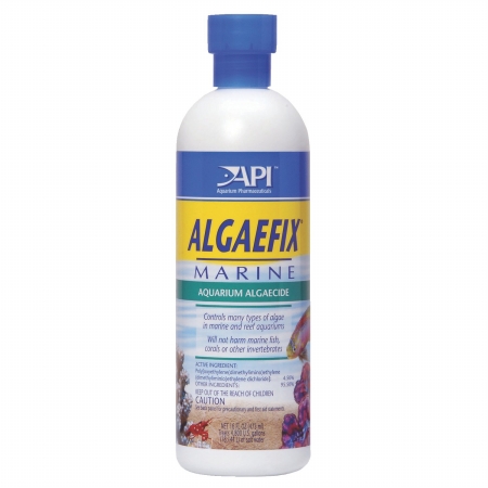 Picture of Mars Fishcare North Amer - Algaefix Marine 16 Ounce - 387D