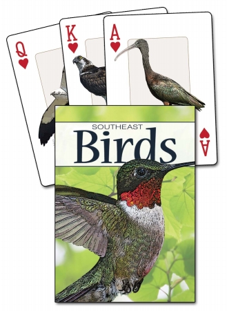 Picture of Adventure Publications AP33595 Birds of the Southeast Playing Cards