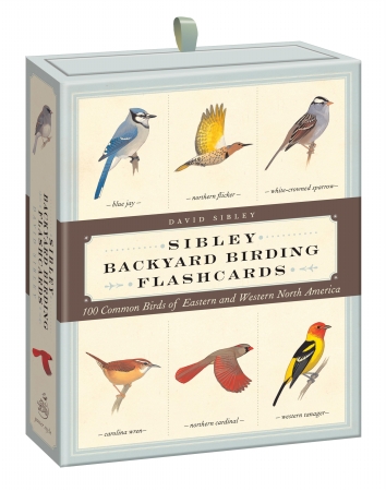 Picture of Random House RH0307888975 Sibley Backyard Birding Flashcards