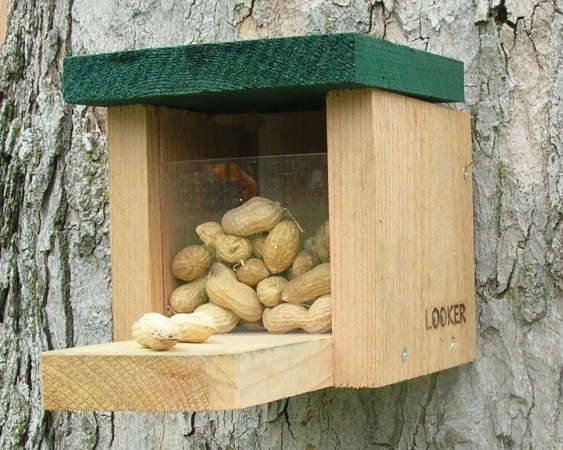 Picture of Songbird Essentials SE549 Squirrel Snack Box