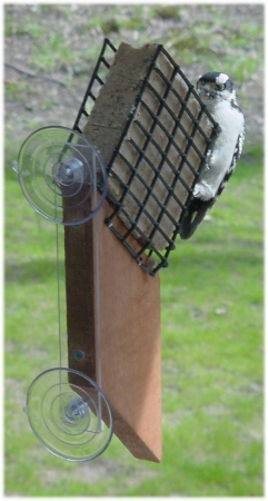 Picture of Songbird Essentials SE539 Suet Window Feeder