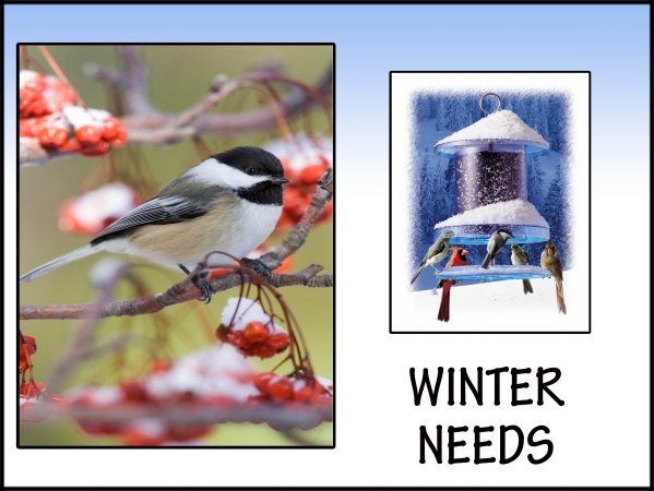 Picture of Songbird Essentials SESIGNWINTER Winter Sign