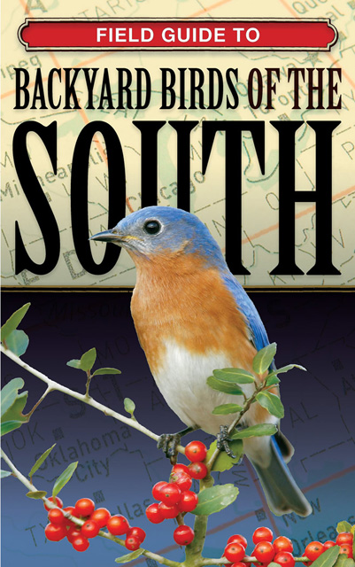 Picture of Quayside Publishing Group 196525 Field Guide to Backyard Birds of the South