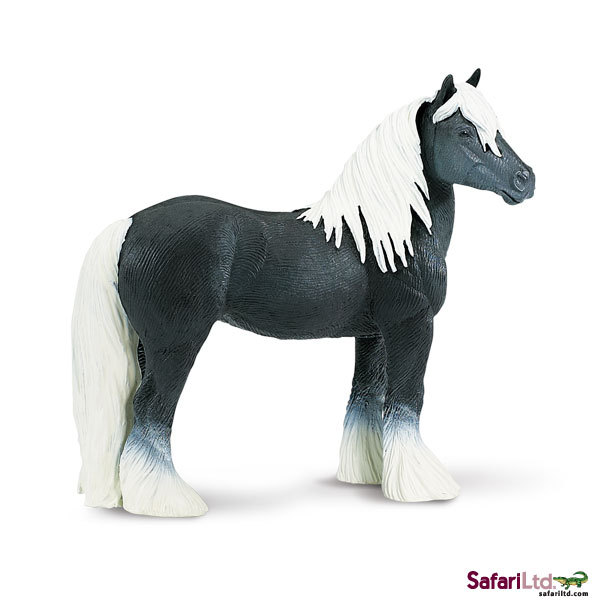 WC GYPSY VANNER STALLION