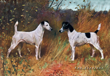 Buy Enlarge 0-587-04389-xC12X18 Two Fox Terriers- Canvas Size C12X18