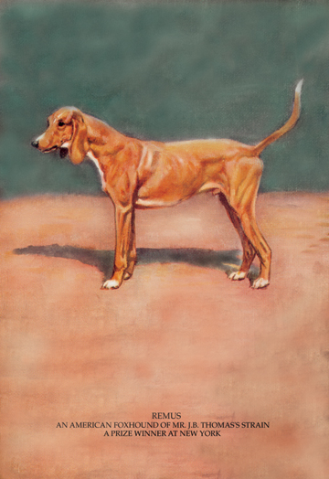 Buy Enlarge 0-587-04733-xC12X18 Remus- Canvas Size C12X18