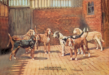 Picture of Buy Enlarge 0-587-04741-0C12X18 Welsh Hounds- Canvas Size C12X18
