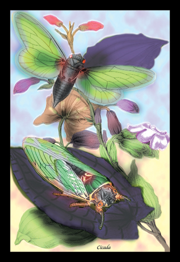 Buy Enlarge 0-587-15079-3C12X18 Cicada- Canvas Size C12X18