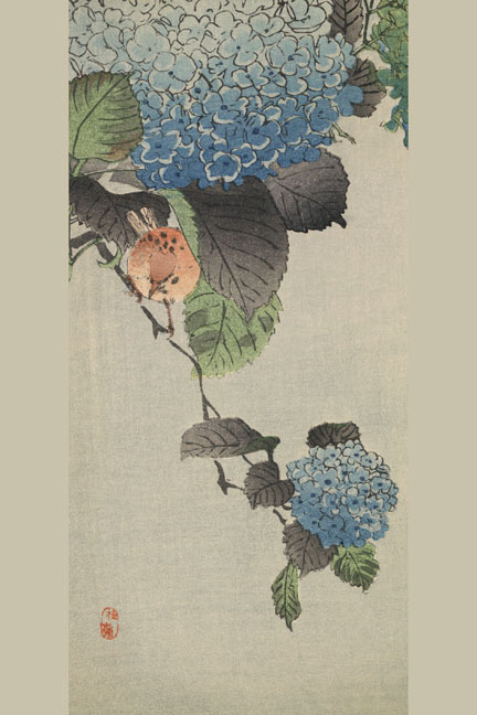 Buy Enlarge 0-587-23596-9C12X18 Small bird and hydrangea- Canvas Size C12X18