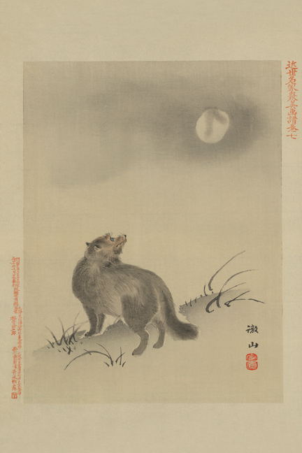 Buy Enlarge 0-587-23607-8C12X18 Fox- Canvas Size C12X18