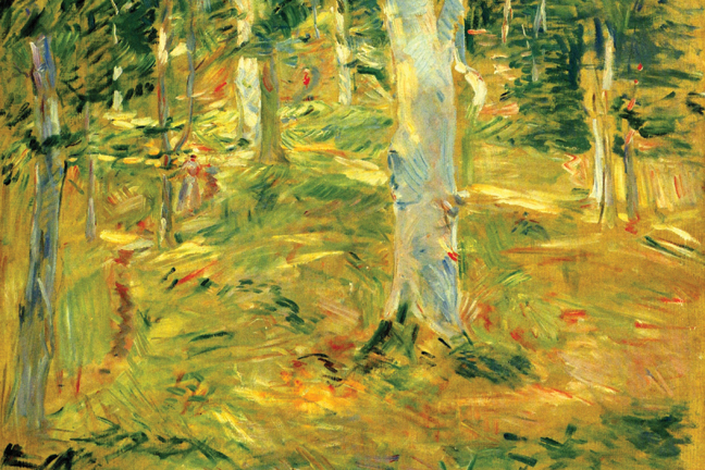 Buy Enlarge 0-587-25255-3C12X18 Forest- Canvas Size C12X18