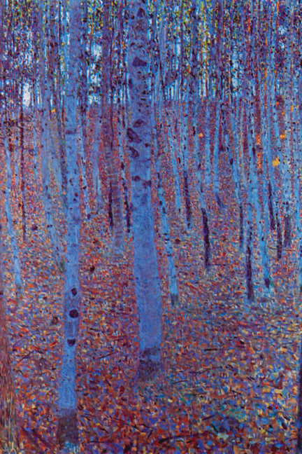 Buy Enlarge 0-587-25331-2C12X18 Beech Forest- Canvas Size C12X18