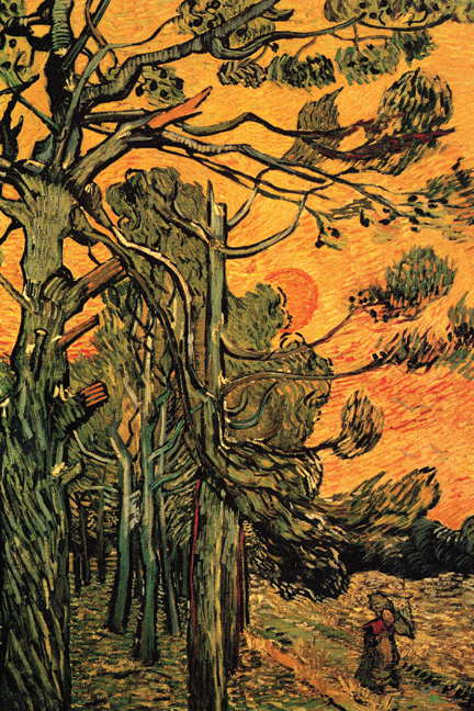 Buy Enlarge 0-587-25645-1C12X18 Pine Trees against a Red Sky with Setting Sun- Canvas Size C12X18