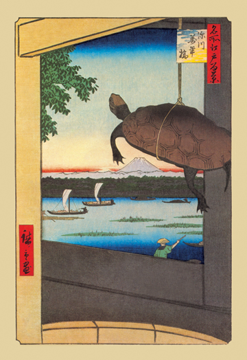Buy Enlarge 0-587-02721-5C12X18 Turtle- Canvas Size C12X18