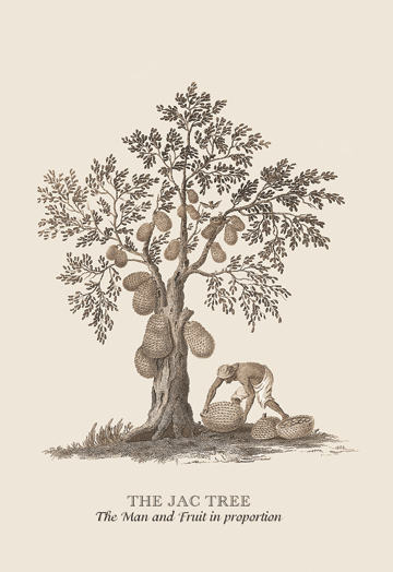 Buy Enlarge 0-587-13629-4C12X18 Jac Tree- Canvas Size C12X18