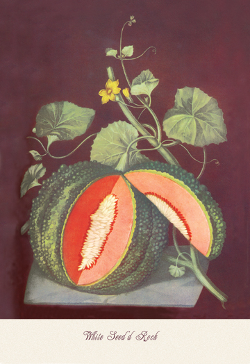 Picture of Buy Enlarge 0-587-04361-xC12X18 Watermelon- Canvas Size C12X18