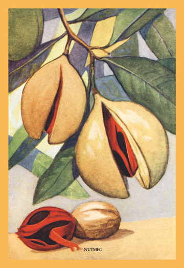 Buy Enlarge 0-587-08340-9C12X18 Nutmeg- Canvas Size C12X18