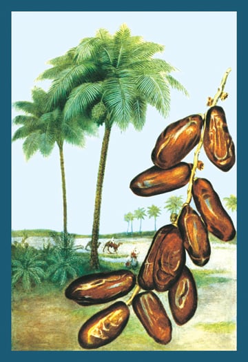 Buy Enlarge 0-587-08623-8C12X18 Dates- Canvas Size C12X18
