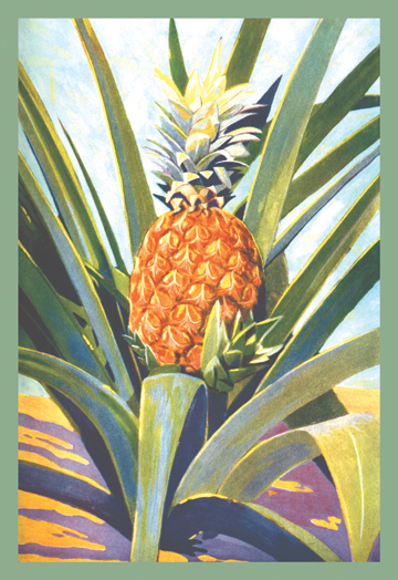 Buy Enlarge 0-587-08643-2C12X18 Pineapple- Canvas Size C12X18
