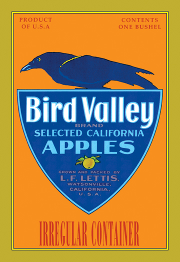 Buy Enlarge 0587128712C12X18 Bird Valley Brand Apples Canvas Size C12X18