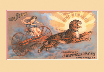 Buy Enlarge 0-587-14483-1C12X18 Tiger - King of Rakes- Canvas Size C12X18