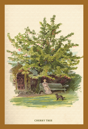 Buy Enlarge 0-587-17635-0C12X18 Cherry Tree- Canvas Size C12X18