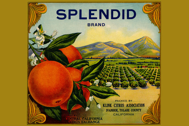 Buy Enlarge 0587219521C12X18 Splendid Brand Citrus Canvas Size C12X18
