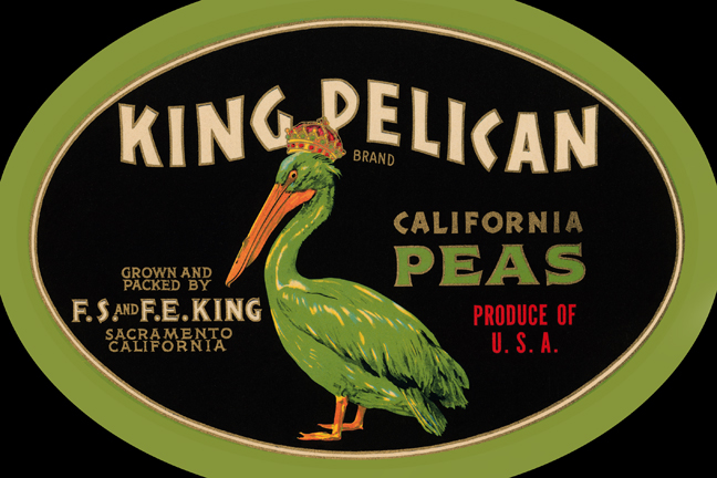 Picture of Buy Enlarge 0-587-24646-4C12X18 King Pelican California Peas- Canvas Size C12X18