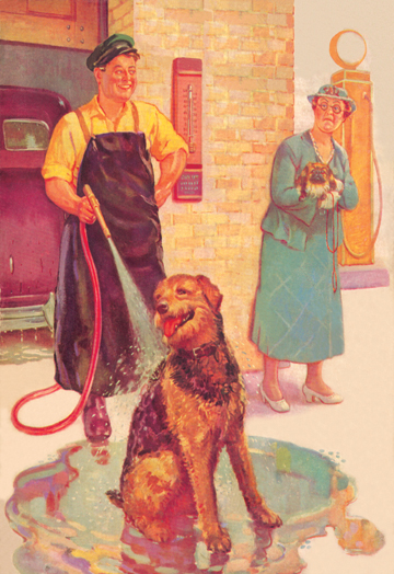 Picture of Buy Enlarge 0-587-00012-0P12x18 Dog Wash- Paper Size P12x18