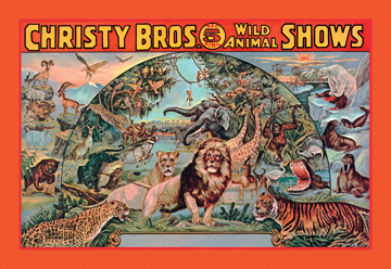 Picture of Buy Enlarge 0-587-01198-xP12x18 Christy Bros. 5 Ring Wild Animal Shows- Paper Size P12x18