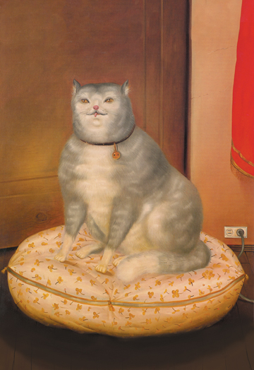 Grey Cat on a Pillow- Paper Size P20x30